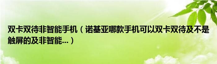 双卡双待非智能手机（诺基亚哪款手机可以双卡双待及不是触屏的及非智能...）