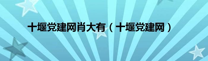 十堰党建网肖大有（十堰党建网）