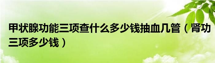 甲状腺功能三项查什么多少钱抽血几管（肾功三项多少钱）