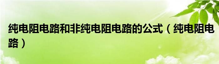 纯电阻电路和非纯电阻电路的公式（纯电阻电路）