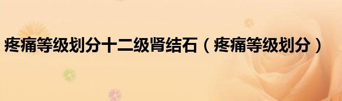 疼痛等级划分十二级肾结石（疼痛等级划分）