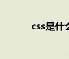 css是什么发动机（css是什么）