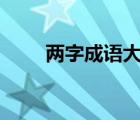 两字成语大全集500个（俩字成语）