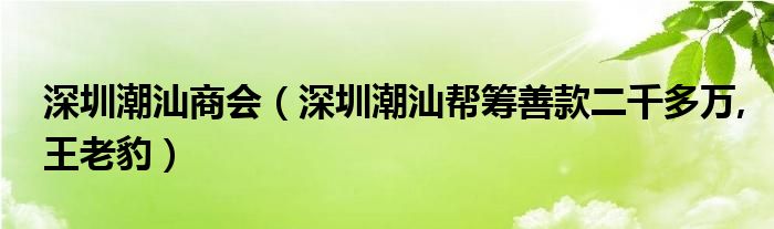 深圳潮汕商会（深圳潮汕帮筹善款二千多万,王老豹）