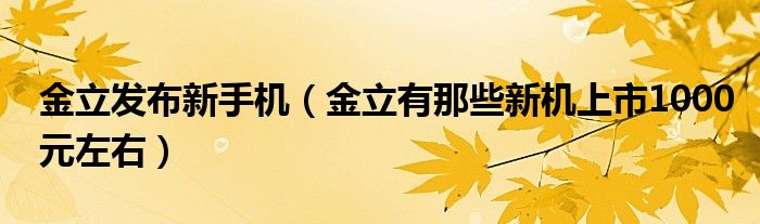 金立发布新手机（金立有那些新机上市1000元左右）