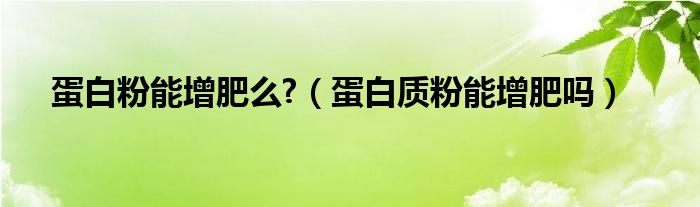 蛋白粉能增肥么?（蛋白质粉能增肥吗）