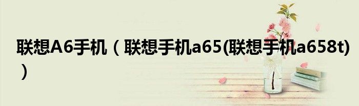 联想A6手机（联想手机a65(联想手机a658t)）