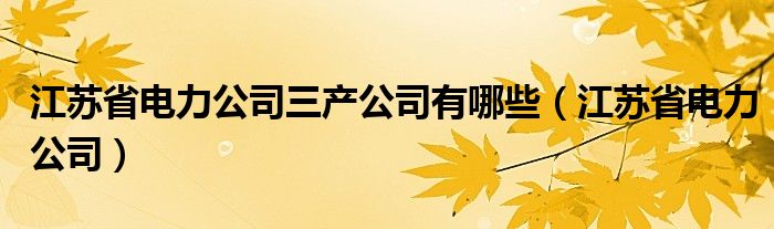 江苏省电力公司三产公司有哪些（江苏省电力公司）