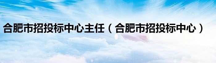 合肥市招投标中心主任（合肥市招投标中心）