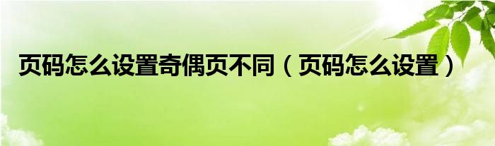 页码怎么设置奇偶页不同（页码怎么设置）