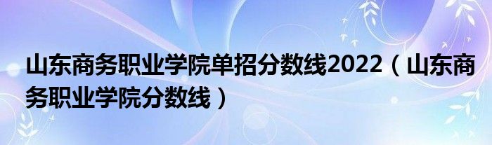 山东商务职业学院单招分数线2022（山东商务职业学院分数线）