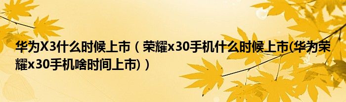 华为X3什么时候上市（荣耀x30手机什么时候上市(华为荣耀x30手机啥时间上市)）