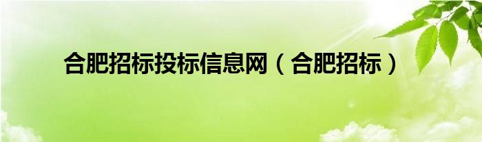 合肥招标投标信息网（合肥招标）