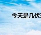 今天是几伏天2022年（今天是几伏）