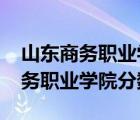 山东商务职业学院单招分数线2022（山东商务职业学院分数线）