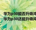 华为p30能否升级鸿蒙系统（华为p30可以升级鸿蒙系统吗(华为p30还能升级鸿蒙系统吗)）