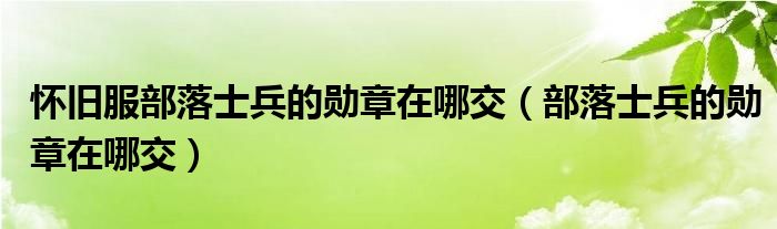 怀旧服部落士兵的勋章在哪交（部落士兵的勋章在哪交）