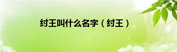 纣王叫什么名字（纣王）