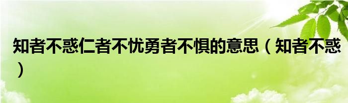 知者不惑仁者不忧勇者不惧的意思（知者不惑）