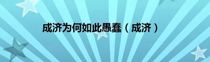 成济为何如此愚蠢（成济）