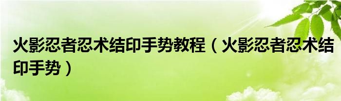 火影忍者忍术结印手势教程（火影忍者忍术结印手势）