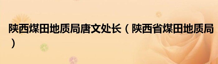 陕西煤田地质局唐文处长（陕西省煤田地质局）