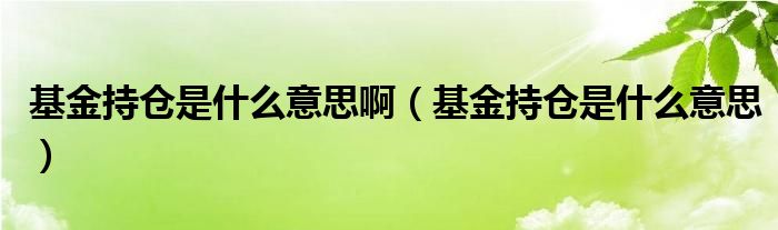 基金持仓是什么意思啊（基金持仓是什么意思）