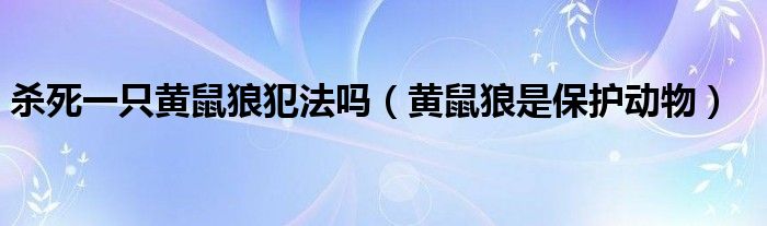 杀死一只黄鼠狼犯法吗（黄鼠狼是保护动物）