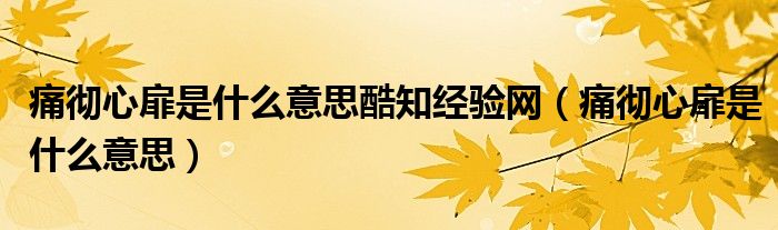 痛彻心扉是什么意思酷知经验网（痛彻心扉是什么意思）