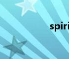 spirits翻译（spirits）