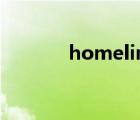 homelink链家（homelink）