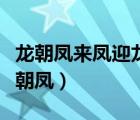 龙朝凤来凤迎龙梧桐树下凤求凰出自哪里（龙朝凤）