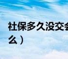 社保多久没交会断保（社保是什么 5保又是什么）