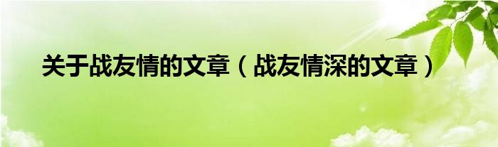 关于战友情的文章（战友情深的文章）