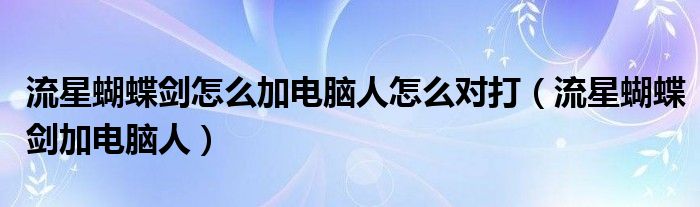 流星蝴蝶剑怎么加电脑人怎么对打（流星蝴蝶剑加电脑人）