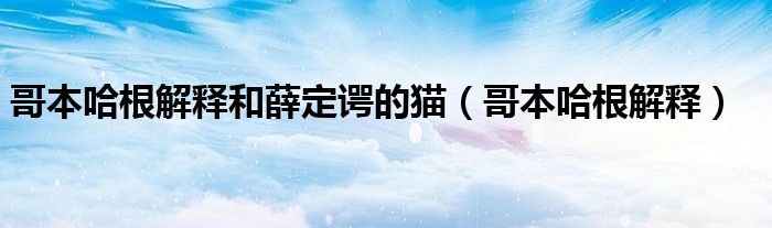 哥本哈根解释和薛定谔的猫（哥本哈根解释）