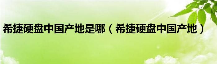 希捷硬盘中国产地是哪（希捷硬盘中国产地）