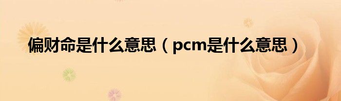 偏财命是什么意思（pcm是什么意思）