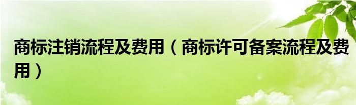 商标注销流程及费用（商标许可备案流程及费用）