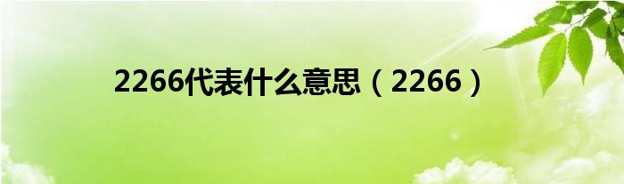 2266代表什么意思（2266）