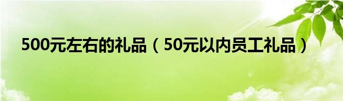 500元左右的礼品（50元以内员工礼品）