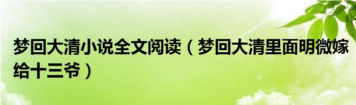 梦回大清小说全文阅读（梦回大清里面明微嫁给十三爷）