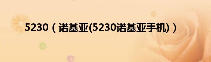 5230（诺基亚(5230诺基亚手机)）