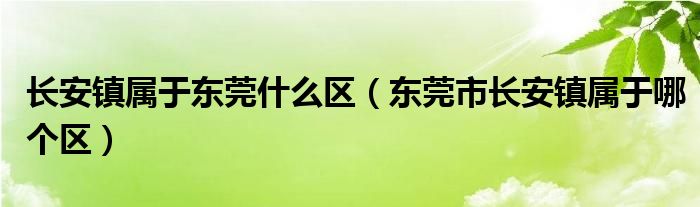 长安镇属于东莞什么区（东莞市长安镇属于哪个区）