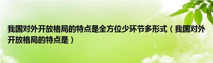 我国对外开放格局的特点是全方位少环节多形式（我国对外开放格局的特点是）