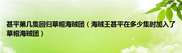 甚平第几集回归草帽海贼团（海贼王甚平在多少集时加入了草帽海贼团）