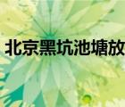 北京黑坑池塘放鱼广告（北京钓鱼池塘广告）