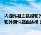 内源性凝血途径和外源性凝血途径的联系（内源性凝血途径和外源性凝血途径）