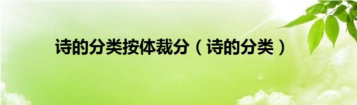 诗的分类按体裁分（诗的分类）