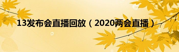 13发布会直播回放（2020两会直播）